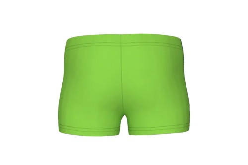 Arena Logo Kids Boy Μαγιό Boxer (003612600)