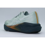 Asics Novablast 5 Tr (1011C138-300)