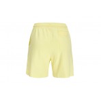 Jjxx Jxbarbara Hw Relaxed Vint Shorts Σορτς (12200372 ELFIN YELLOW)