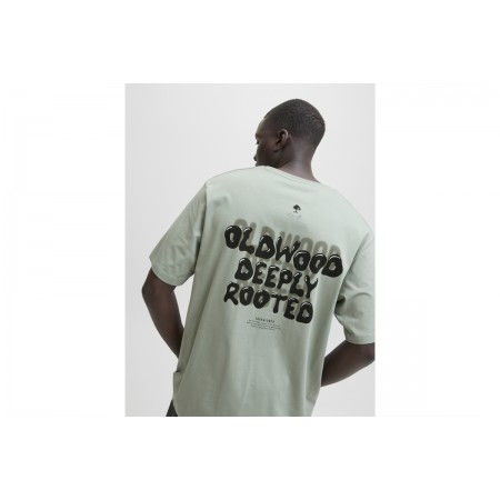 Jack And Jones Jjwobly Ανδρικό Κοντομάνικο T-Shirt Φυστικί
