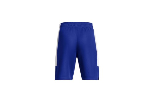 Under Armour Baseline Σορτς Αθλητικό (1383402 400)
