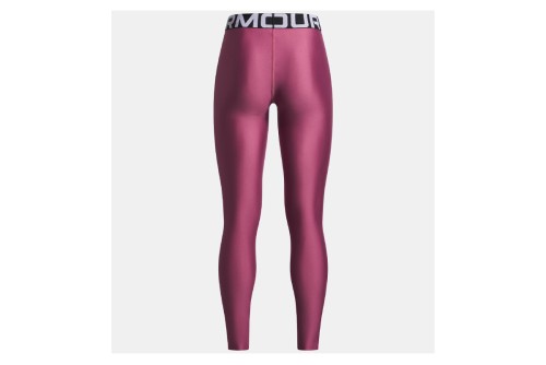 Under Armour Heatgear Κολάν Μακρύ Γυναικείο (1390069 659)