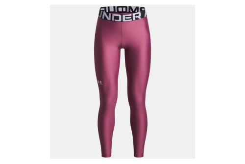Under Armour Heatgear Κολάν Μακρύ Γυναικείο (1390069 659)