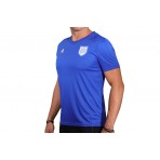 Pas Giannina Fc N 1 Maillot Match Mc (1621302 PAS)