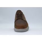 Skechers Hasting - Rory Sneakers (205211-CDB)