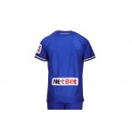 Pas Giannina Fc N 1 Maillot Match Subli Club Φανέλα Ομάδας (2220065 PAS NETBET)