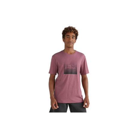 O'neill Gradient Cube T-Shirt T-Shirt 