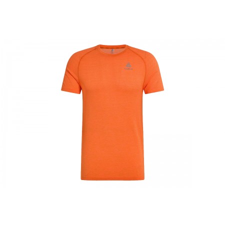 Odlo T-Shirt Crew Neck S-S Essential Seamless T-Shirt Ανδρικό (313942 30884)
