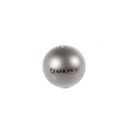 Real-Motion Μπάλα Pilates Ball Grey 26Cm 
