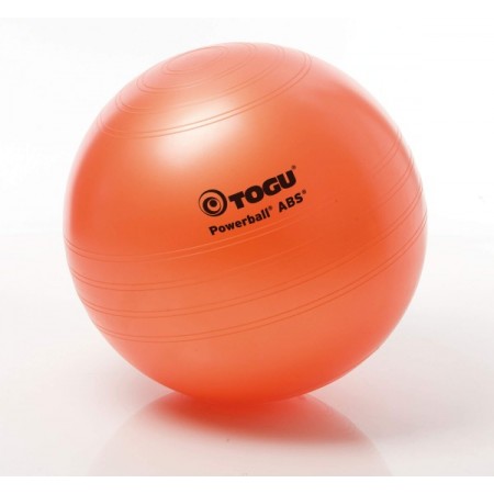 Real-Motion Μπάλα Fitball Powerball Abs 65Cm Terra 