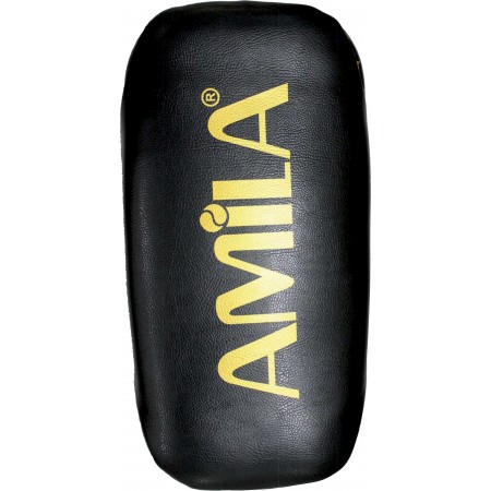 Amila Στόχος Παο 