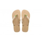 Havaianas H. Brazil Logo Fc Σαγιονάρες (4110850 3581)