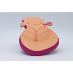 Havaianas Slim Point Σαγιονάρες (4149584 4622)