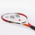 Amila Ρακέτα Tennis Wish Fusiontec 300 Γραφίτη Αλουμινίου (42065)
