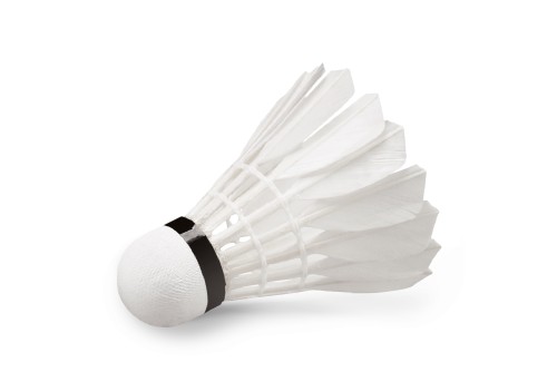 Amila Μπαλάκια Badminton Feather Shuttlecock W-09 12 Τμχ. (42078)