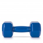 Amila Amila Vinyl Dumbbell 9Kg (44123)