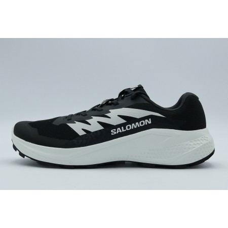 Salomon Alphaglide Ανδρικά Αθλητικά Παπούτσια Trail Running