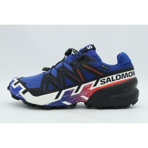 Salomon Speedcross 6 Gore-Tex Equipe Παπούτσια Trail Running (479828)