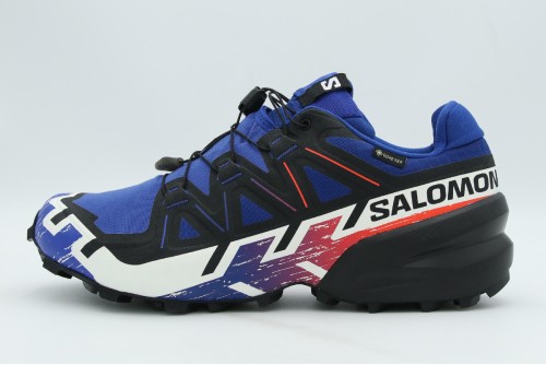 Salomon Speedcross 6 Gore-Tex Equipe Παπούτσια Trail Running (479828)