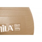 Amila Μπάλα Γυμναστικής Amila Gymball 65Cm Χρυσή Bulk (48413)