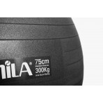 Amila Μπάλα Γυμναστικής Amila Gymball 75Cm Μαύρη Bulk (48417)