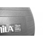 Amila Μπάλα Γυμναστικής Amila Gymball 75Cm Γκρι Bulk (48425)