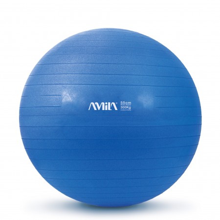 Amila Μπάλα Γυμναστικής Amila Gymball 55Cm Μπλε Bulk 