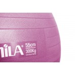 Amila Μπάλα Γυμναστικής Amila Gymball 55Cm Ροζ Bulk (48438)