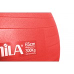 Amila Μπάλα Γυμναστικής Amila Gymball 65Cm Κόκκινη Bulk (48441)