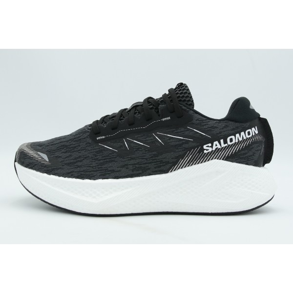 Salomon Aero Glide 4 Αθλητικά Παπούτσια Για Τρέξιμο (491470)