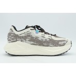 Salomon Aero Glide 4 GRVL Ανδρικά Αθλητικά Παπούτσια για Τρέξιμο Εκρού, Καφέ, Μαύρα