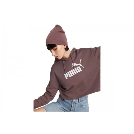 Puma Ess Cropped Logo Hoodie Γυναικείο 