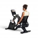 Johnson Schwinn 590R Καθιστο Ποδηλατο (590R)