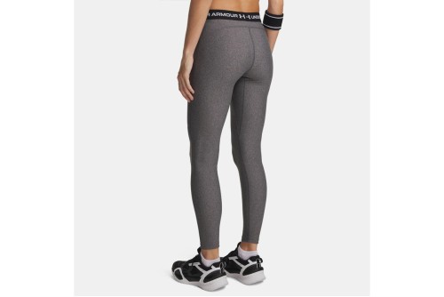 Under Armour Heatgear Κολάν Μακρύ Γυναικείο (6010002 019)