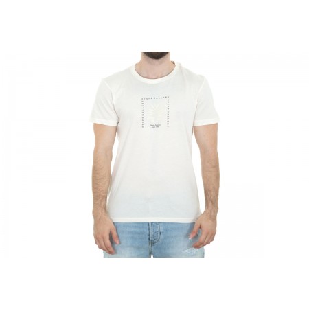 Staff Man Milton T-Shirt Ανδρικό 