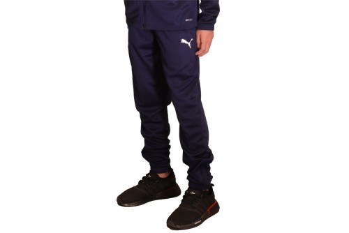 Pas Giannina Fc Teamrise Poly Trg Pants Jr Παντελόνι Φόρμας (657391 06 PAS)