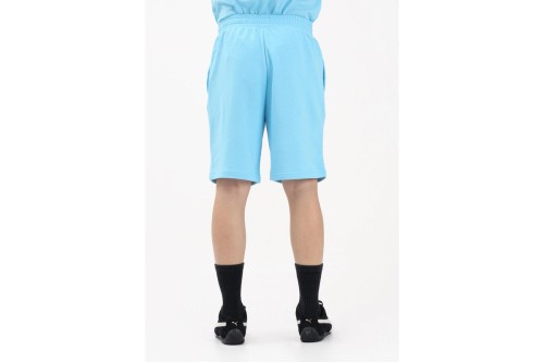 Puma Essentials 2 Color No.1 Logo Βερμούδα Αθλητική Ανδρική (684715 45)