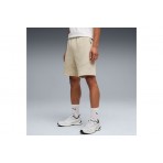 Puma Evostripe Shorts (692192 61)