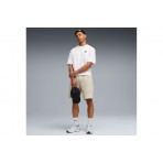 Puma Evostripe Shorts (692192 61)