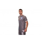 PAS Giannina F.C. Ανδρική Εμφάνιση Τρίτη 2024-25 Γκρι, Λευκή