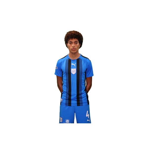 Pas Giannina Fc Teamliga Striped Jersey Φανέλα Ομάδας Ανδρική (704920 02 PAS)