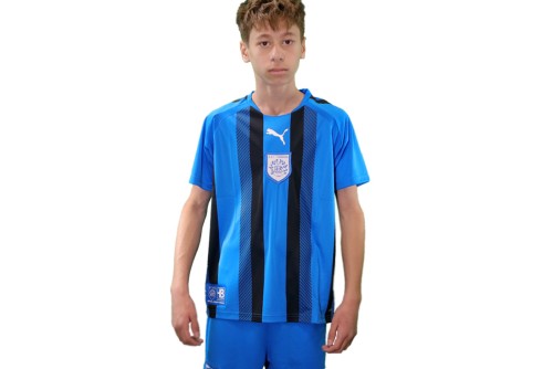 Pas Giannina Fc Teamliga Striped Jersey Φανέλα Ομάδας (704927 02 PAS)
