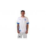 PAS Giannina F.C. Ανδρική Εμφάνιση Εκτός Έδρας 2024-25 Λευκή, Ρουά