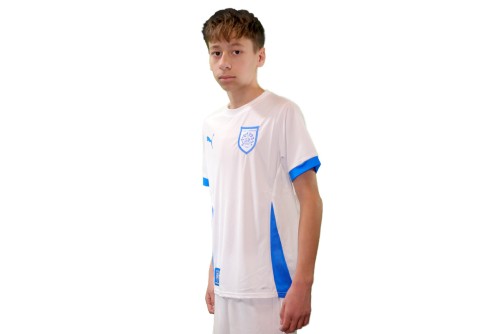 Pas Giannina Fc Teamgoal Matchday Jersey Jr Φανέλα Ομάδας (705748 12 PAS)