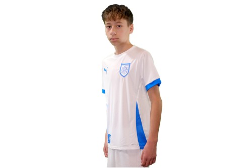 Pas Giannina Fc Teamgoal Matchday Jersey Jr Φανέλα Ομάδας (705748 12 PAS)