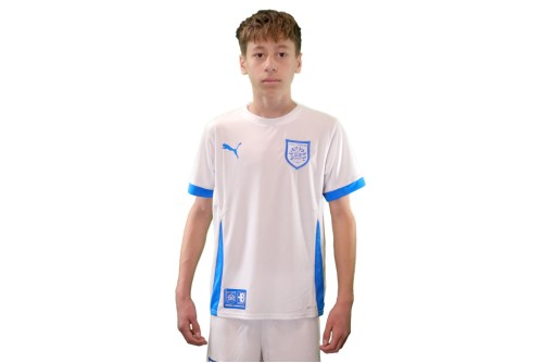 Pas Giannina Fc Teamgoal Matchday Jersey Jr Φανέλα Ομάδας (705748 12 PAS)