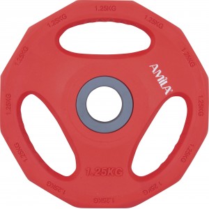 Amila Δίσκος Amila Pump Rubber Φ30 1,25Kg (84515)
