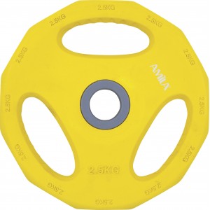 Amila Δίσκος Amila Pump Rubber Φ30 2,50Kg (84516)
