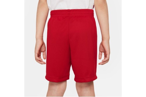 Jordan Vert Mesh Σορτς Αθλητικό (857176 R78)