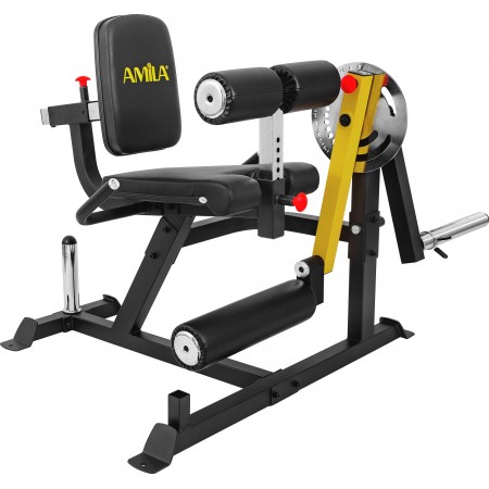 Amila Μηχάνημα Leg Curl  Leg Extension Amila Ax1030 